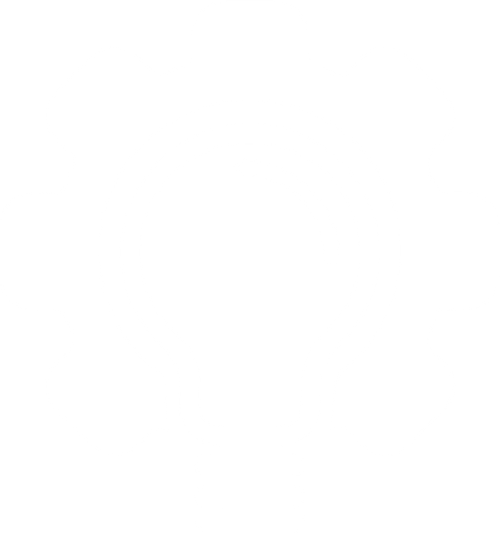 Methodology icon